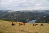 Ruta: Busbeirón-Val do Navia